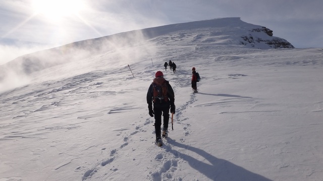 07qq Albisoara Gemenelor_iarna _blog