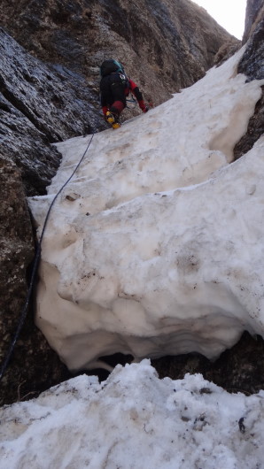 07qq Albisoara Strungii_iarna _blog