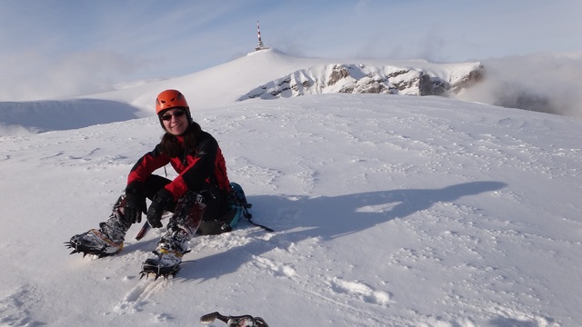 08qq Albisoara Gemenelor_iarna _blog