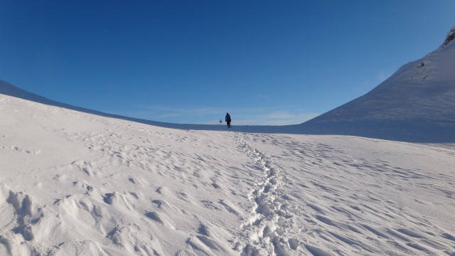 08qq Moeciu_Strunga_Padina_iarna _blog