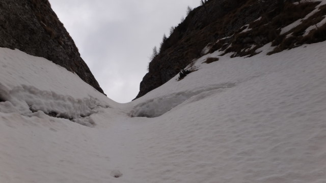 09qq Albisoara Strungii_iarna _blog