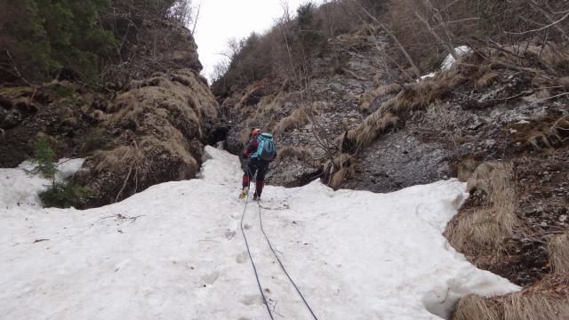 09qq Albisoara Turnurilor_iarna _blog