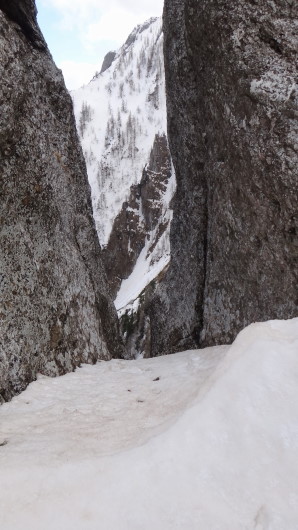 11qq Albisoara Strungii_iarna _blog