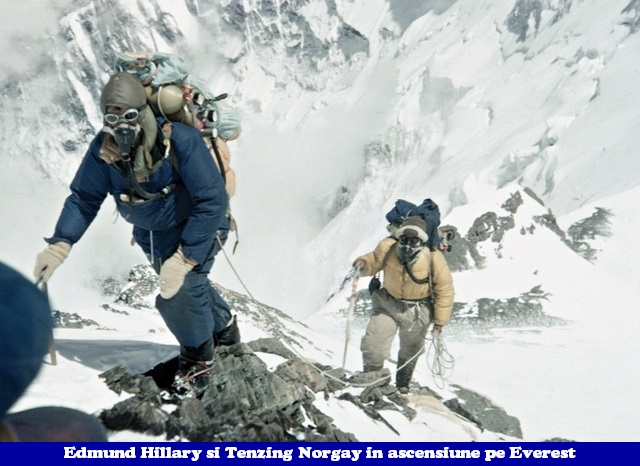 Everest _ evocare _blog 01