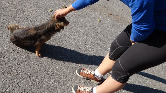 Cheile Galbenului _blog 05