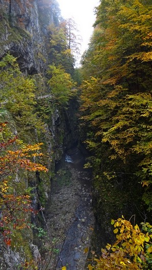 Cheile Oltetului _blog 07