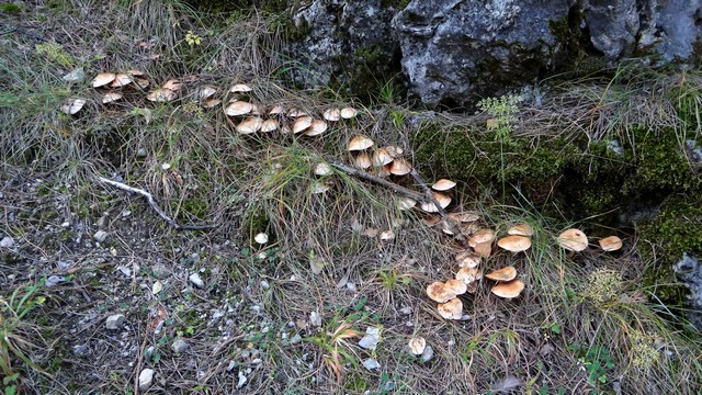 Creasta Fetelor _blog 31