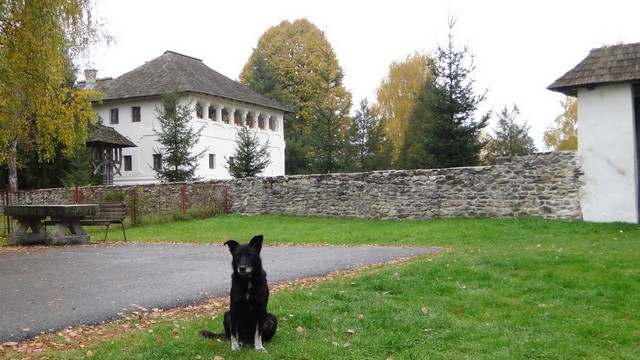 Culele Olteniei _blog 14