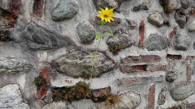 Manastirea Hurezi _blog 11