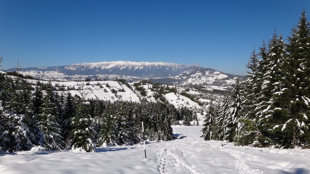 Octombrie de iarna _blog 02