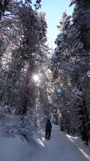 Octombrie de iarna _blog 04