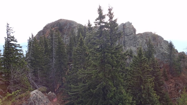 Bulzul_pe varf _blog 03