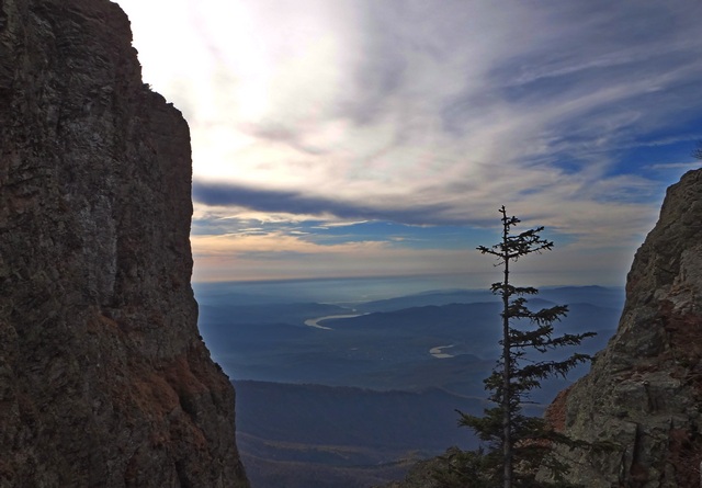 Bulzul_pe varf _blog 05