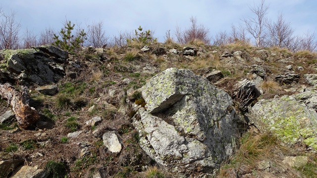 Bulzul_pe varf _blog 11