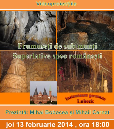 afis Schiller 13 febr 2014 _blog