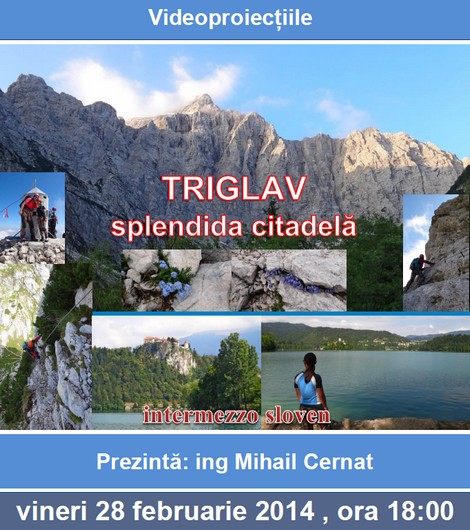 afis Schiller 28 febr 2014 _blog