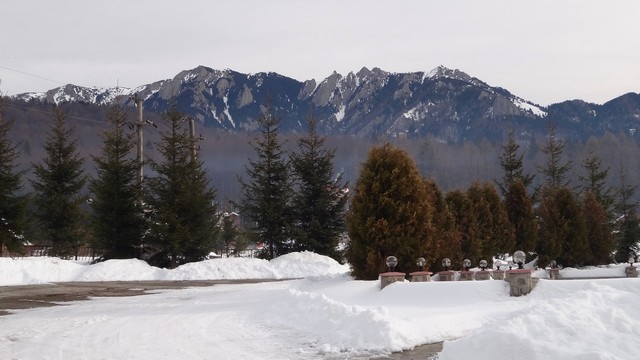 Ciucas_8feb2014 _blog 02