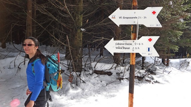 Ciucas_8feb2014 _blog 04