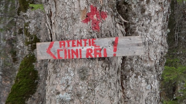 Ciucas_8feb2014 _blog 06