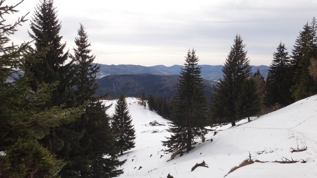 Ciucas_8feb2014 _blog 11