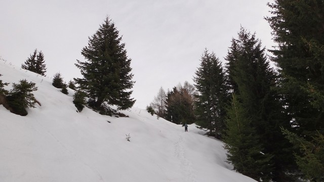 Ciucas_8feb2014 _blog 12