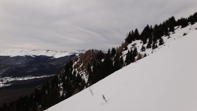 Ciucas_8feb2014 _blog 13