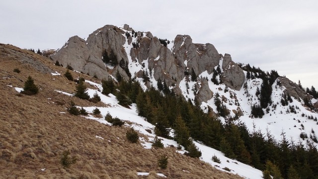 Ciucas_8feb2014 _blog 15