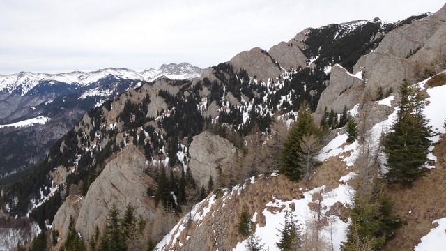 Ciucas_8feb2014 _blog 16