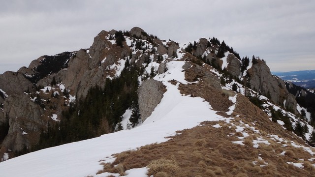 Ciucas_8feb2014 _blog 20