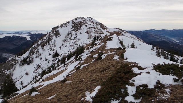 Ciucas_8feb2014 _blog 22