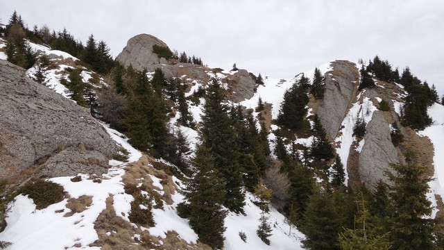 Ciucas_8feb2014 _blog 24