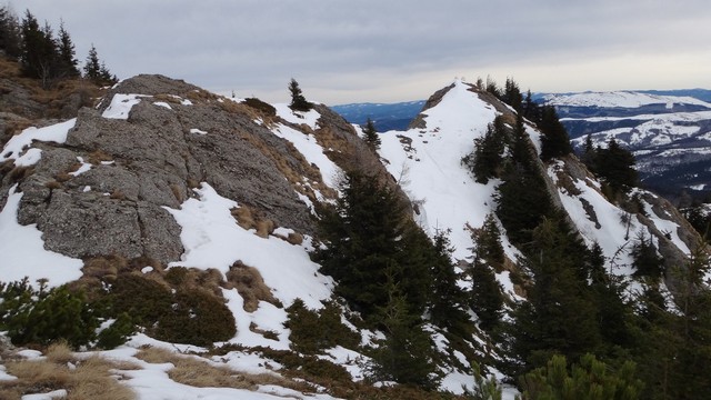 Ciucas_8feb2014 _blog 27