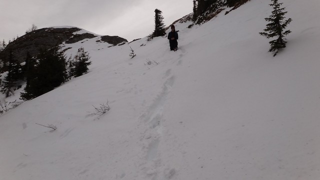 Ciucas_8feb2014 _blog 30