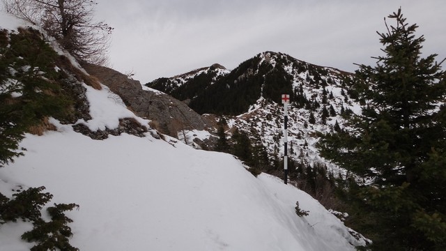 Ciucas_8feb2014 _blog 34