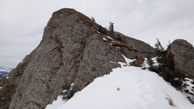 Ciucas_8feb2014 _blog 35