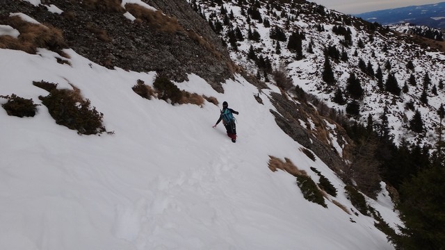 Ciucas_8feb2014 _blog 37