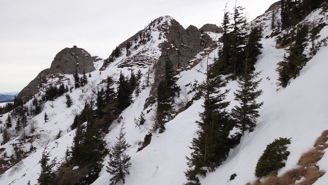 Ciucas_8feb2014 _blog 39