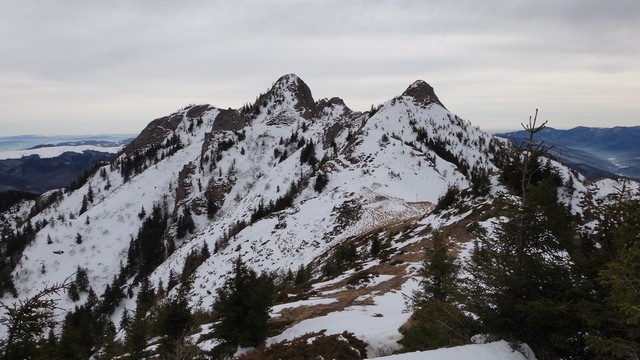 Ciucas_8feb2014 _blog 41