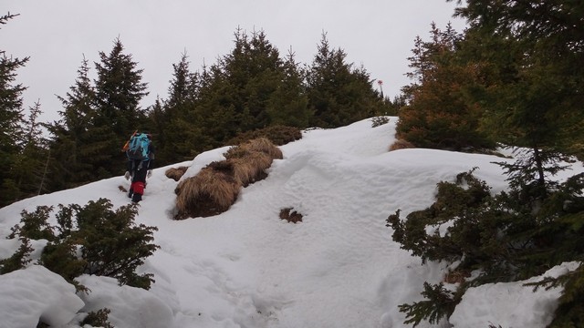 Ciucas_8feb2014 _blog 42