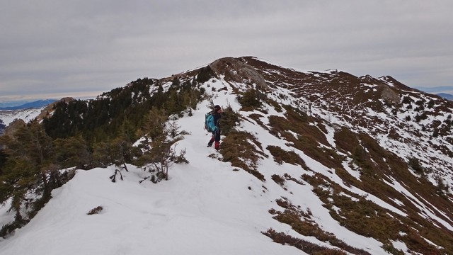 Ciucas_8feb2014 _blog 44