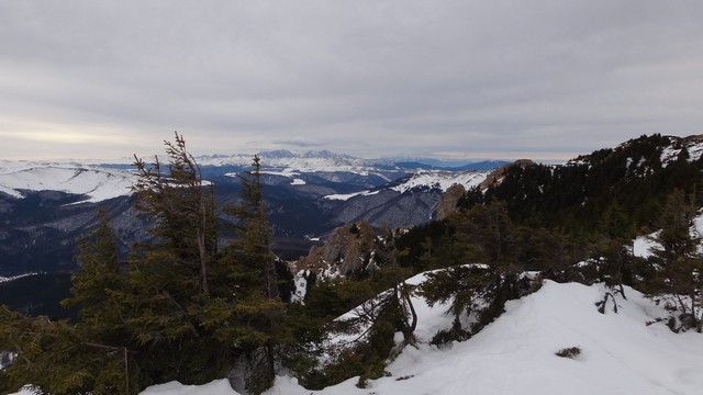 Ciucas_8feb2014 _blog 45