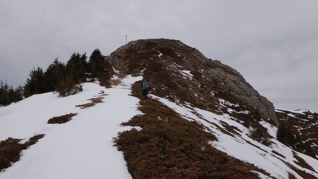 Ciucas_8feb2014 _blog 46