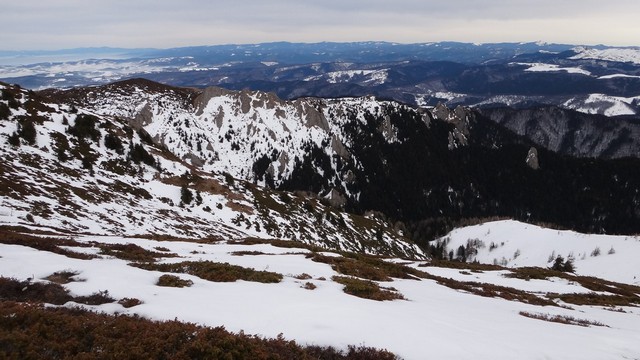 Ciucas_8feb2014 _blog 47