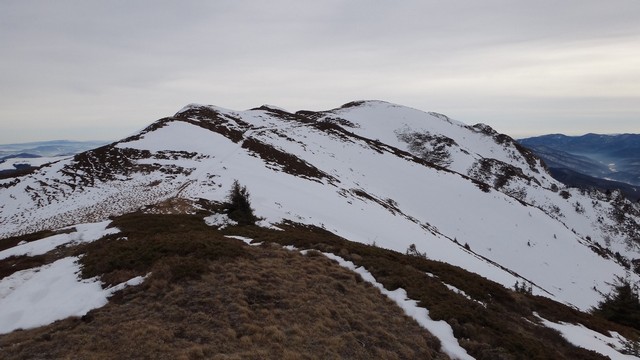 Ciucas_8feb2014 _blog 57