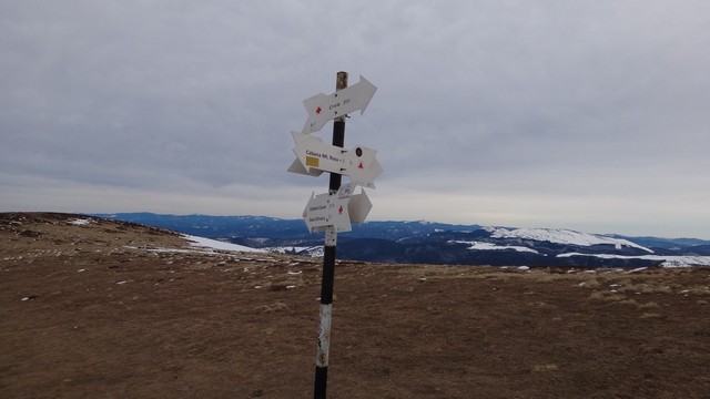 Ciucas_8feb2014 _blog 59