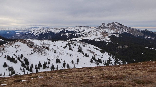 Ciucas_8feb2014 _blog 60