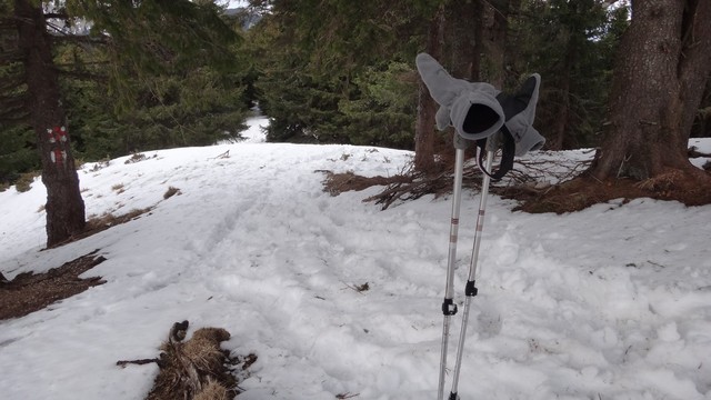 Ciucas_8feb2014 _blog 63