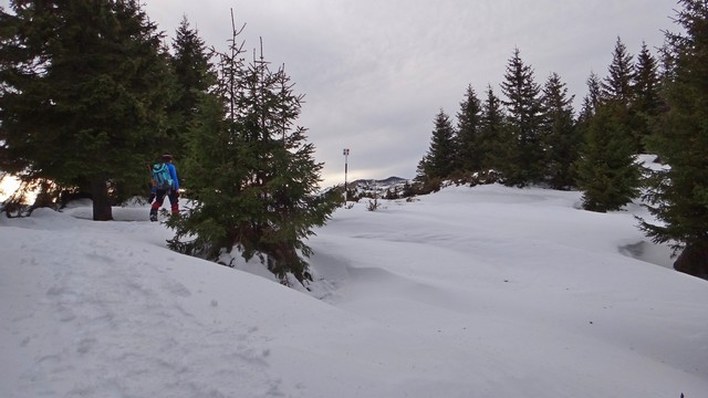 Ciucas_8feb2014 _blog 66