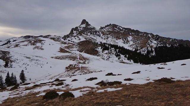 Ciucas_8feb2014 _blog 68