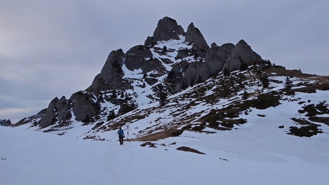 Ciucas_8feb2014 _blog 69